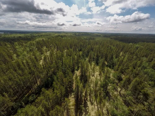 Climate Change Refugia